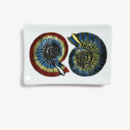 Fornasetti – Conchiglie kleur –  Schaaltje 10×16 cm